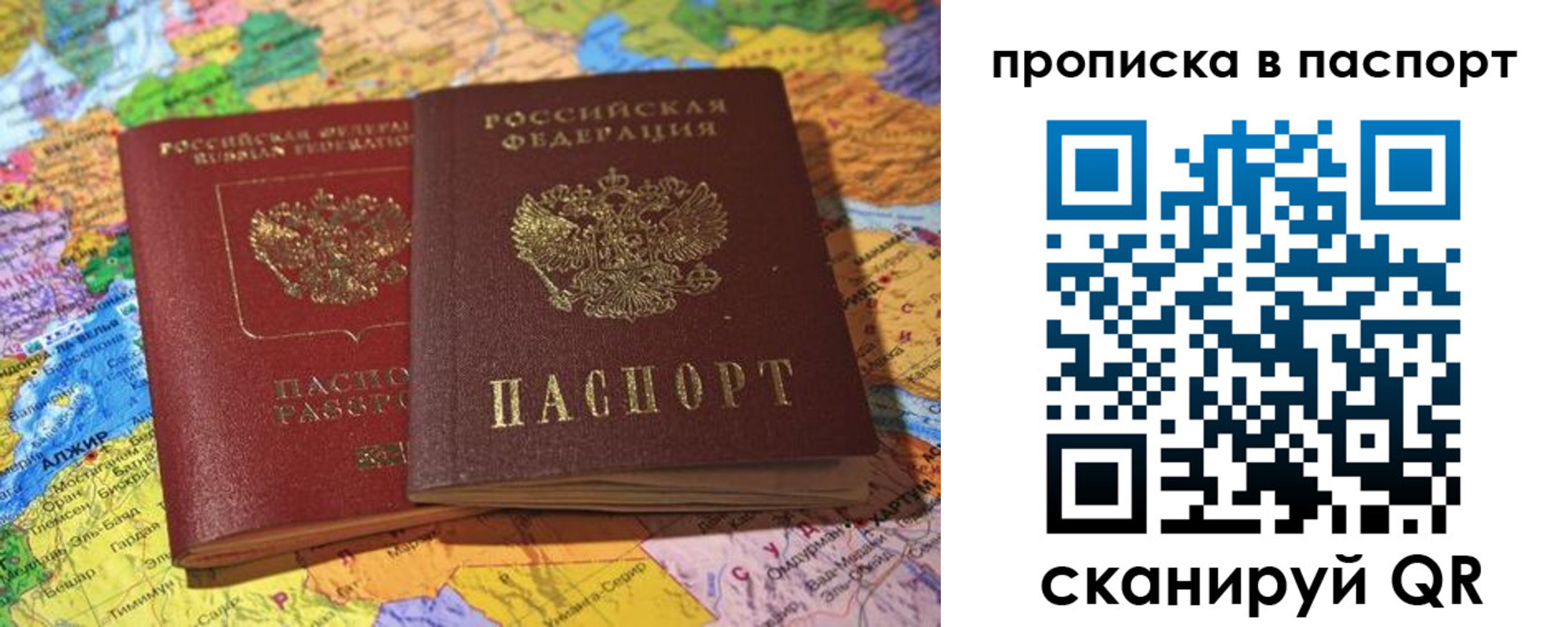 прописка гарантия в Петропавловске-Камчатском