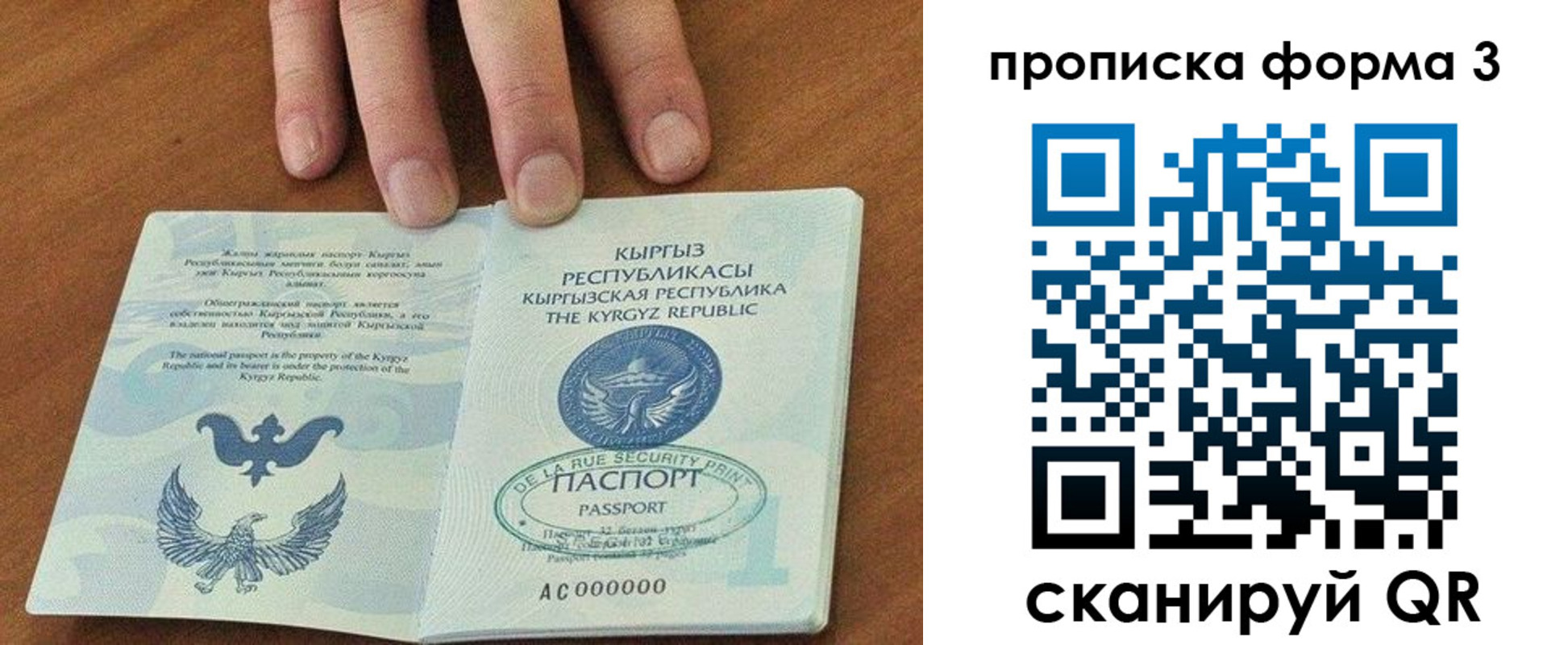 регистрация в Петропавловске-Камчатском